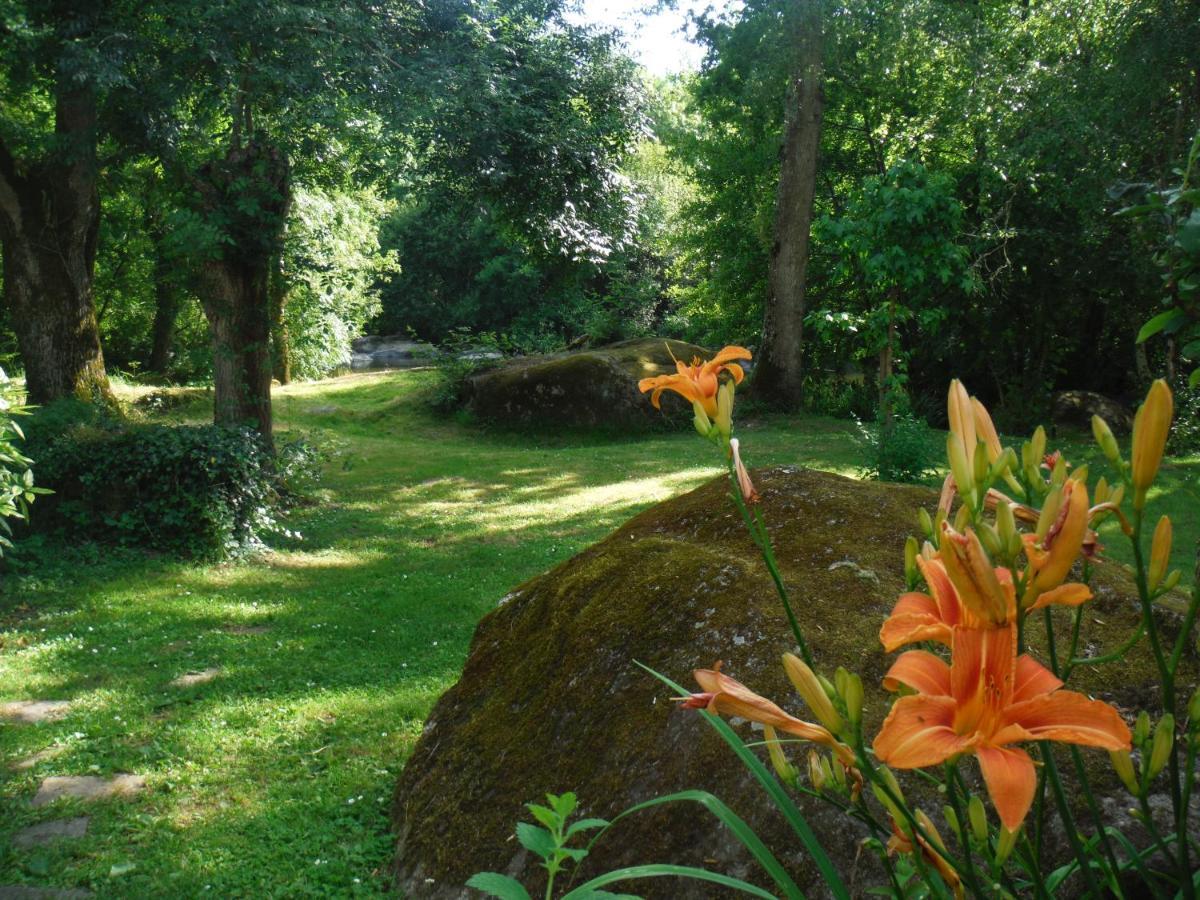 Village De Gites Du Moulin Neuf Getigne Esterno foto