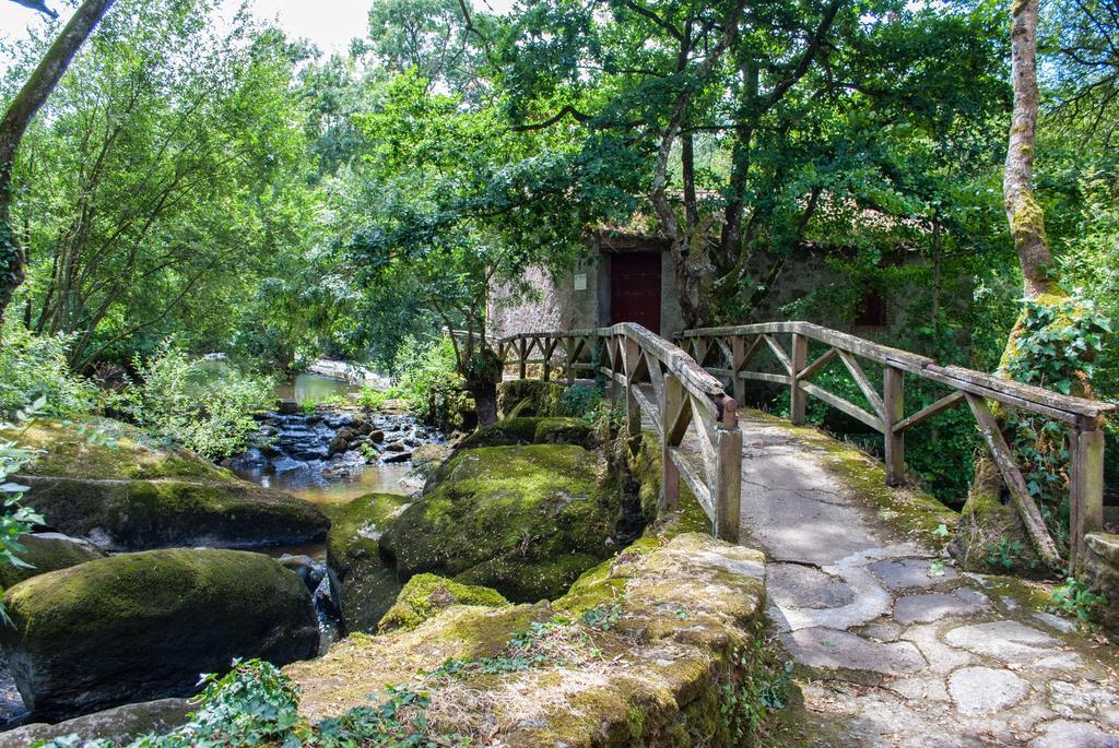 Village De Gites Du Moulin Neuf Getigne Esterno foto